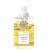 Michel Design Works MDW Limoncello in Amalfi Foaming Soap