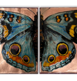 Houston Llew HL Limited: On the Wings Diptych (each panel approx 15"x15")