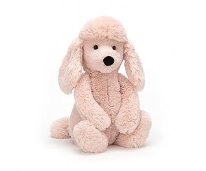 bashful toffee puppy