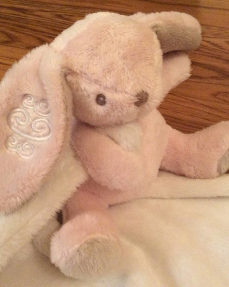 Main Street Collections Pink Bunny Plush Minky