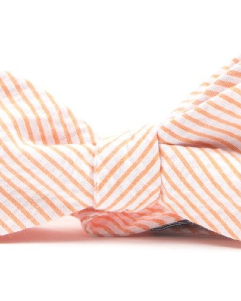 Men's Seersucker Bow Ties