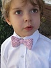 Youth Seersucker BowTie