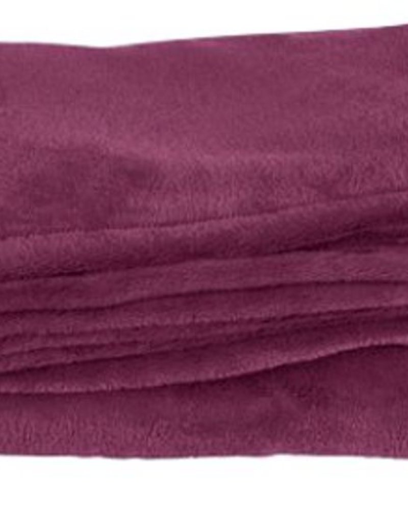 Tailgate Fleece Blanket