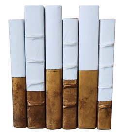 DIPPED ANTIQUED GOLD-XL BOOKS - SET OF 6