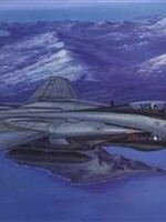 HobbyBoss  (HBB) F-14D Super Tomcat 1/48