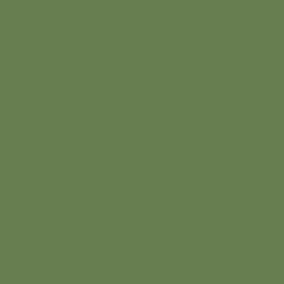 MMP-Mission Models MMP059 US Interior Green FS34151