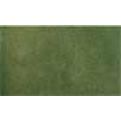 WOO - Woodland Scenics 785- RG5142 14.25 x 12.5 Grass Sheet Green