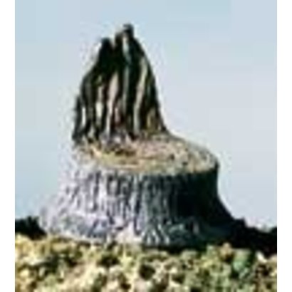 WOO - Woodland Scenics 785- Metal Cut Stumps (14pc)