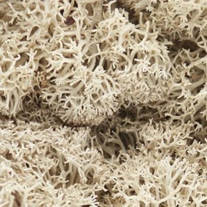 WOO - Woodland Scenics 785- L166 Lichen Bag Natural/82ci