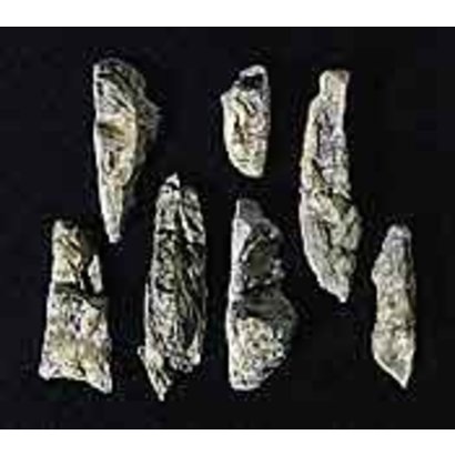 WOO - Woodland Scenics 785- C1233 Rock Mold Embankments