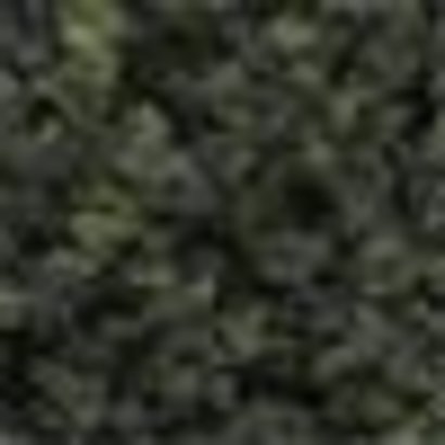 WOO - Woodland Scenics 785- FC139 Underbrush Clump Foliage Forest Blend