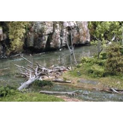 WOO - Woodland Scenics 785- S30 Deadfall .5oz