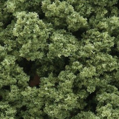 WOO - Woodland Scenics 785- FC682 Clump-Foliage Bag Lt Green/55ci