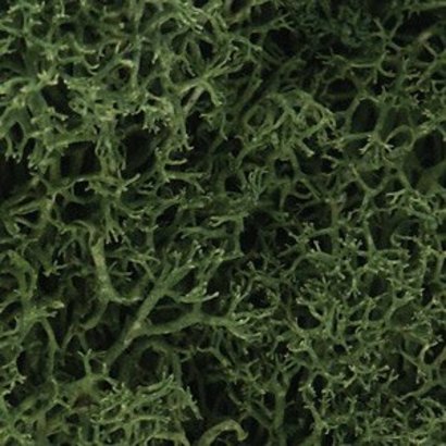WOO - Woodland Scenics 785- L163 Lichen Bag Med Green/82ci