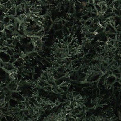 WOO - Woodland Scenics 785- L164 Lichen Bag Dark Green/82ci