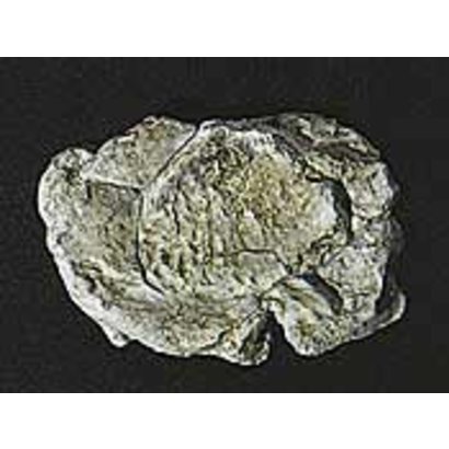 WOO - Woodland Scenics 785- Rock Mold Wind Rock