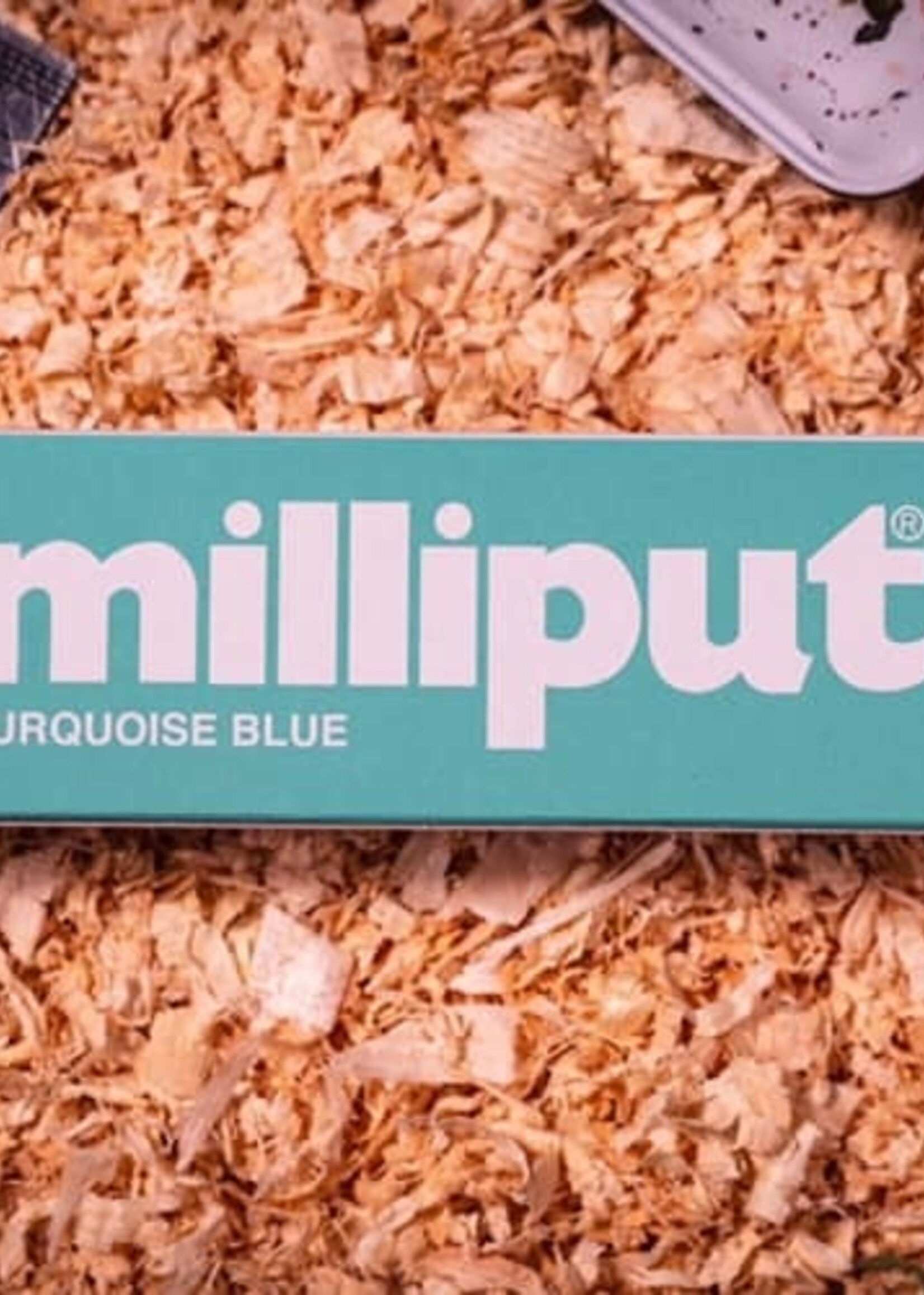 MILLIPUT (MIL) MPP6  Milliput  Turquoise Blue 2-Part Self Hardening Putty