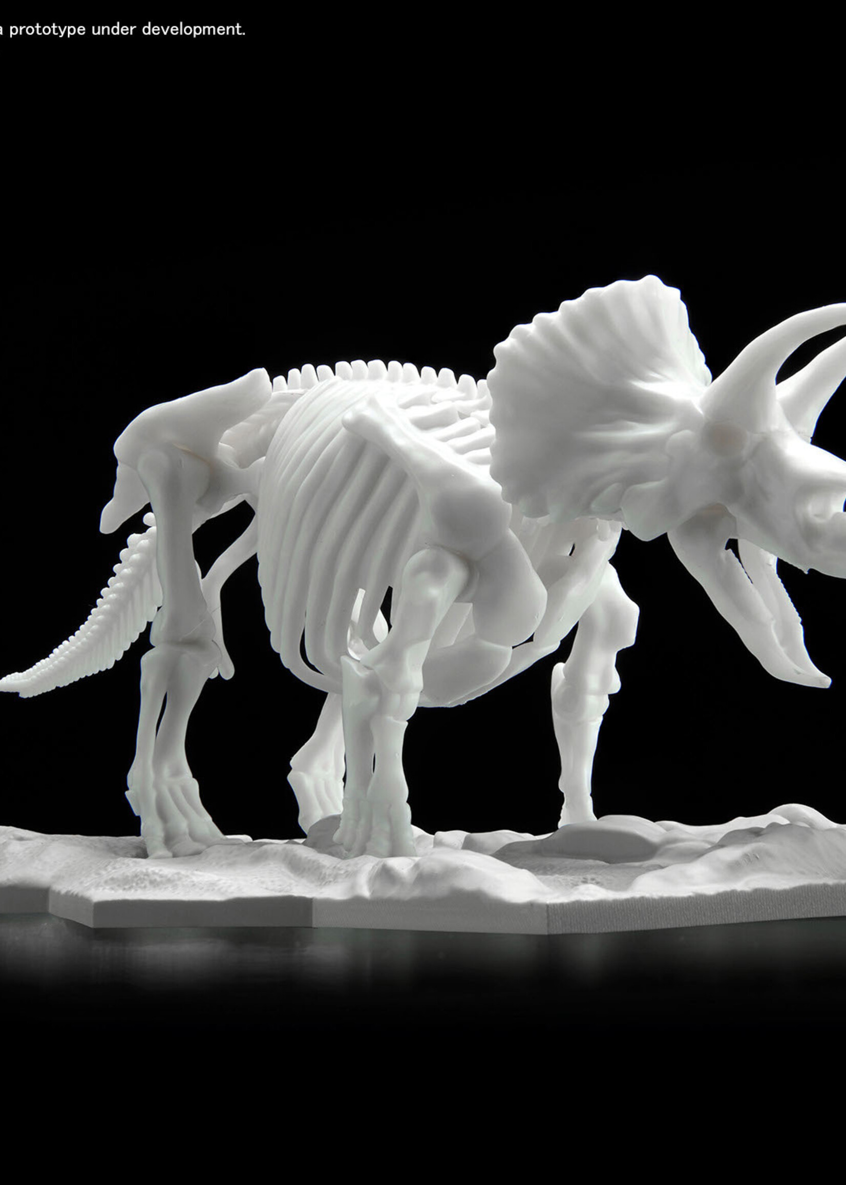 Bandai (BAN) BAN2569527 Triceratops , Bandai Spirits Hobby Dinosaur Model Kit Limex Skeleton