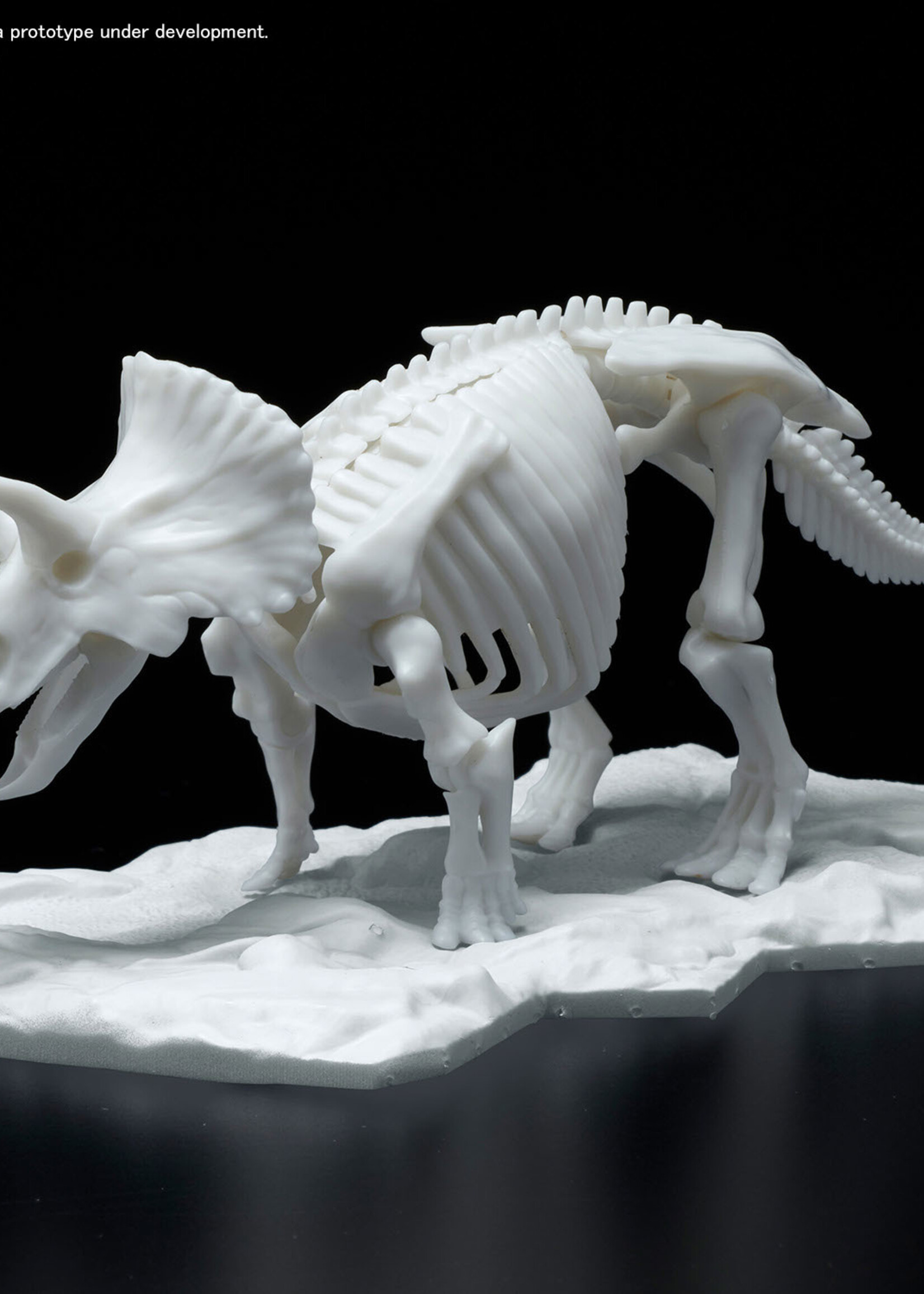 Bandai (BAN) BAN2569527 Triceratops , Bandai Spirits Hobby Dinosaur Model Kit Limex Skeleton