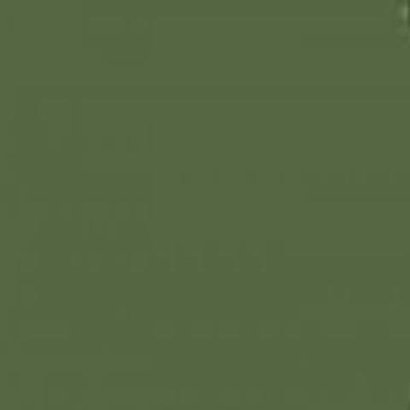 MMP-Mission Models MMP030 Russian Dark Olive Faded 1 FS 34096