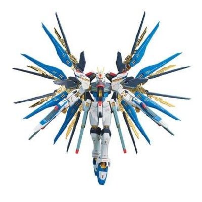BANDAI MODEL KITS 185139 #14 Strike Freedom Gundam RG 1/144