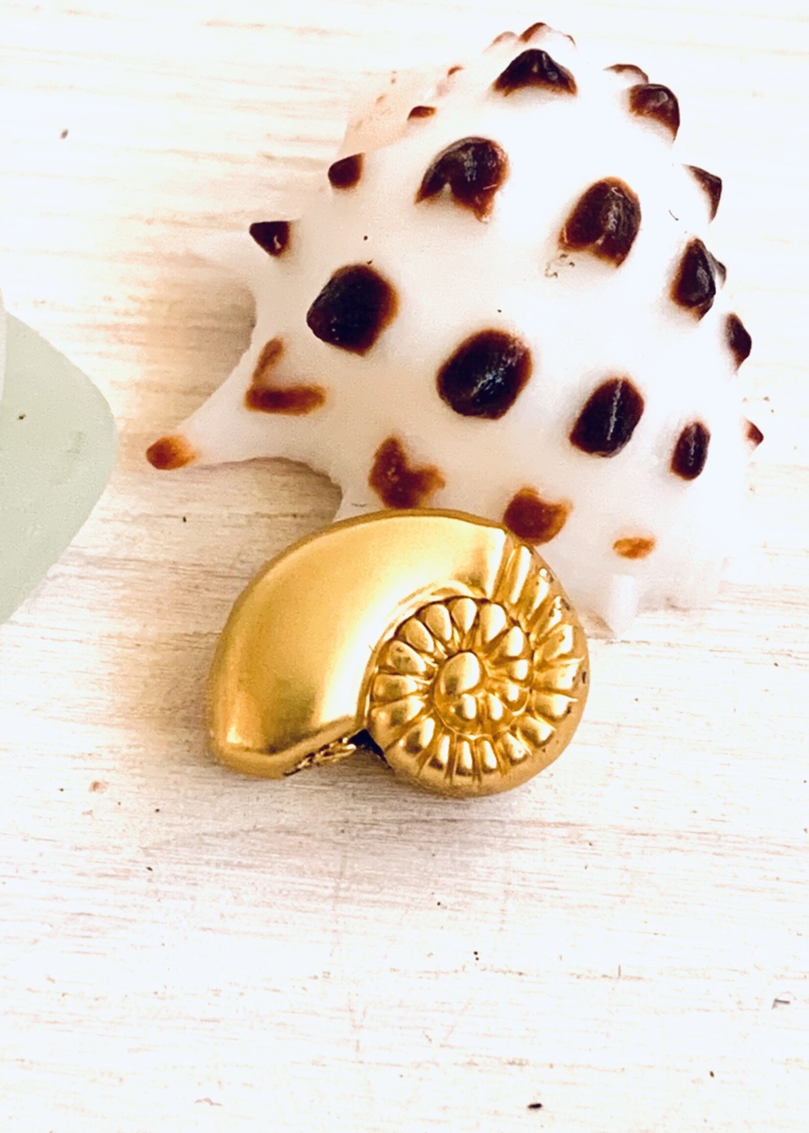 Nautilus Bead Matte Gold