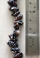 Dotted Shells Strand