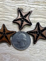 Koa Starfish