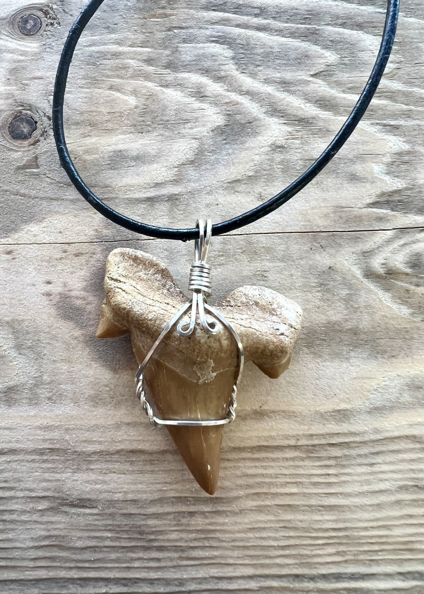 Shark's Tooth Necklace