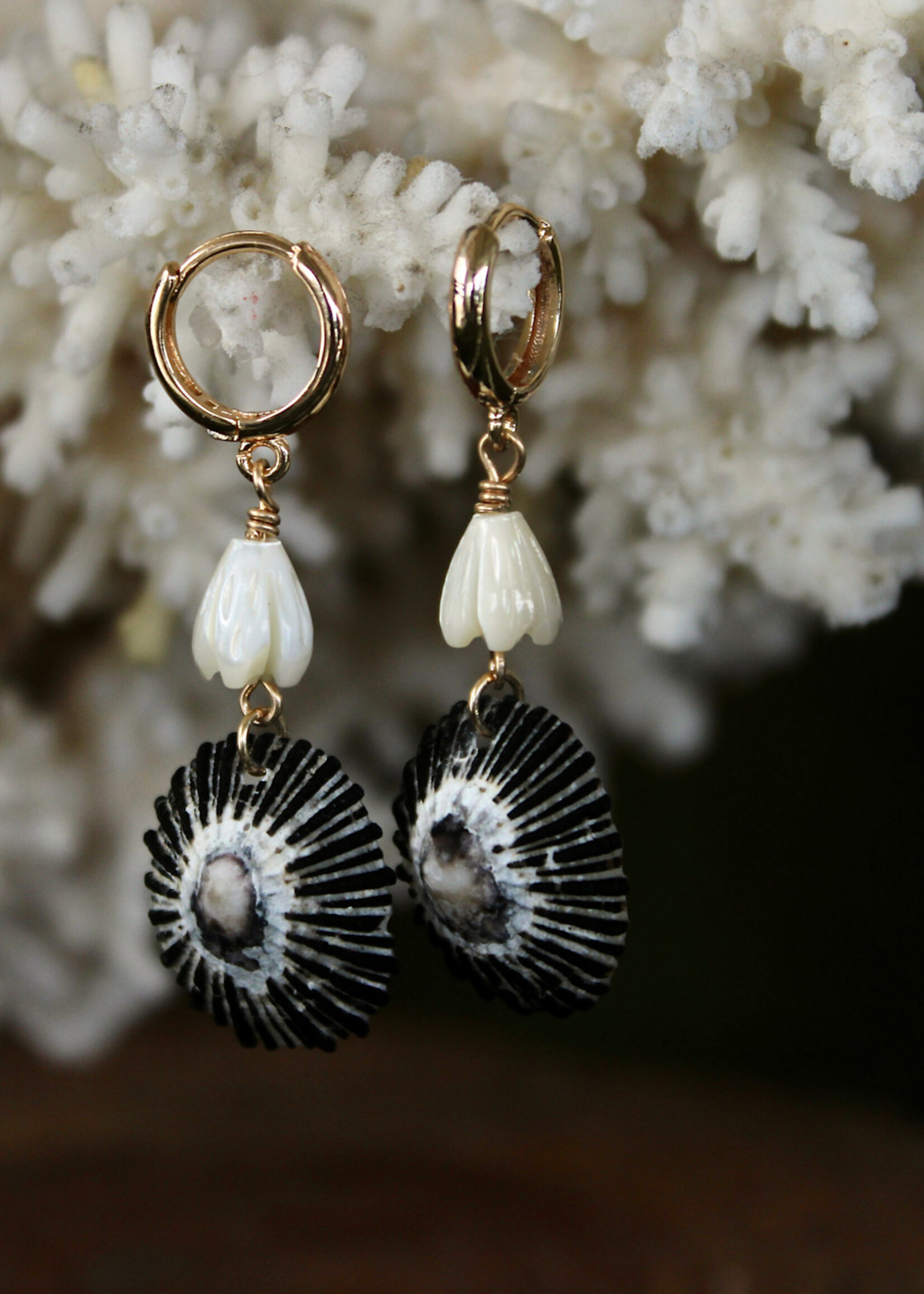 'Opihi Shell Huggie Earrings with Pikake Pearls June 27th