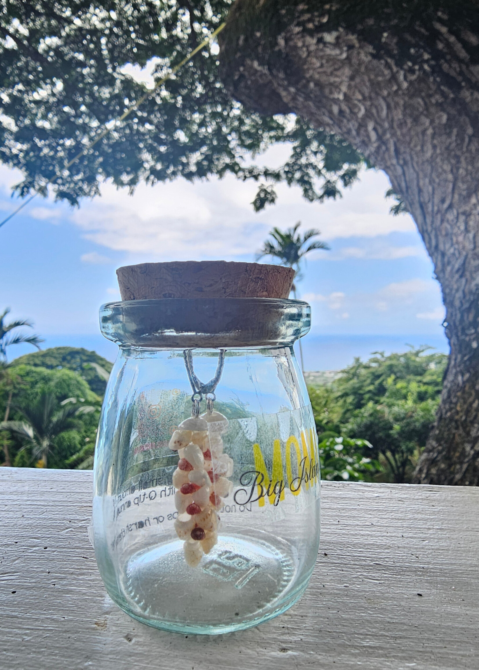 Ni'ihau Heleconia Earrings Saturday June 13th