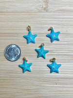 Aqua Enamel Starfish ea