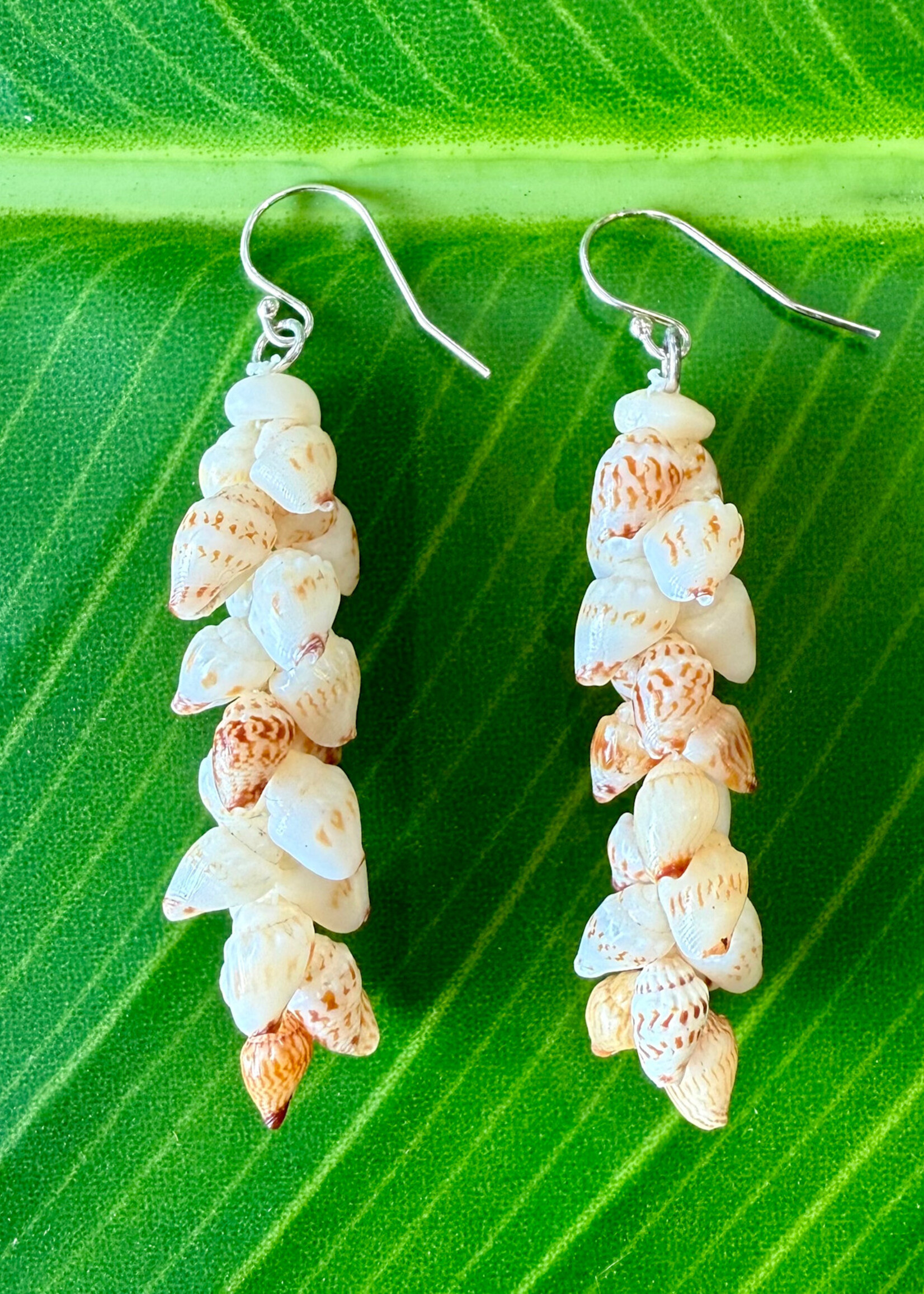 Big Island Momi Pikake Earrings Saturday November 14th