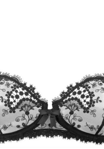 Wish Lace Demi Cup Bra 