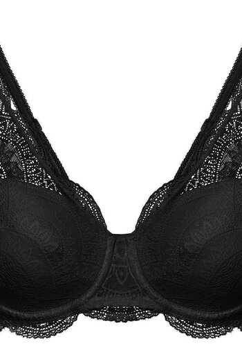 Karma 3D Molded Bra with Triangle Lace 