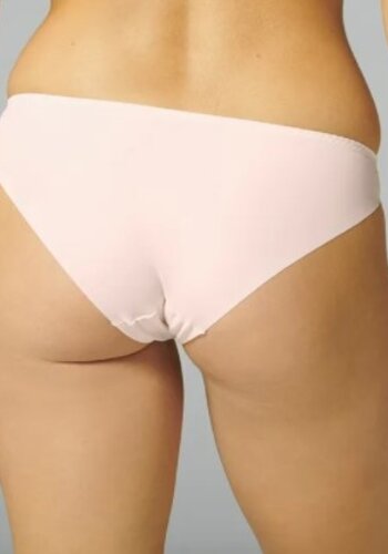 Reve Brief 