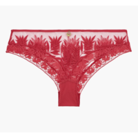Parenthese Tropicale Hipster