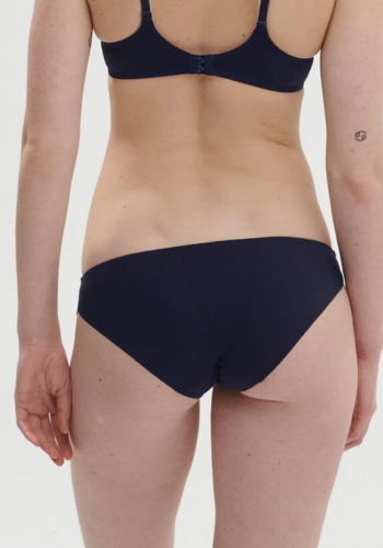 Reve Brief 