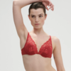 Saga Plunging Push-Up Bra