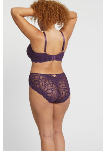 Royale Lace Brief 