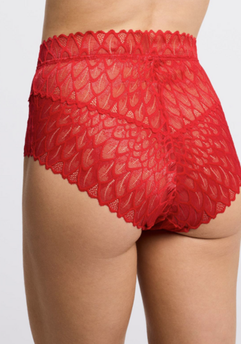 Lacy Essentials High Waist Brief 