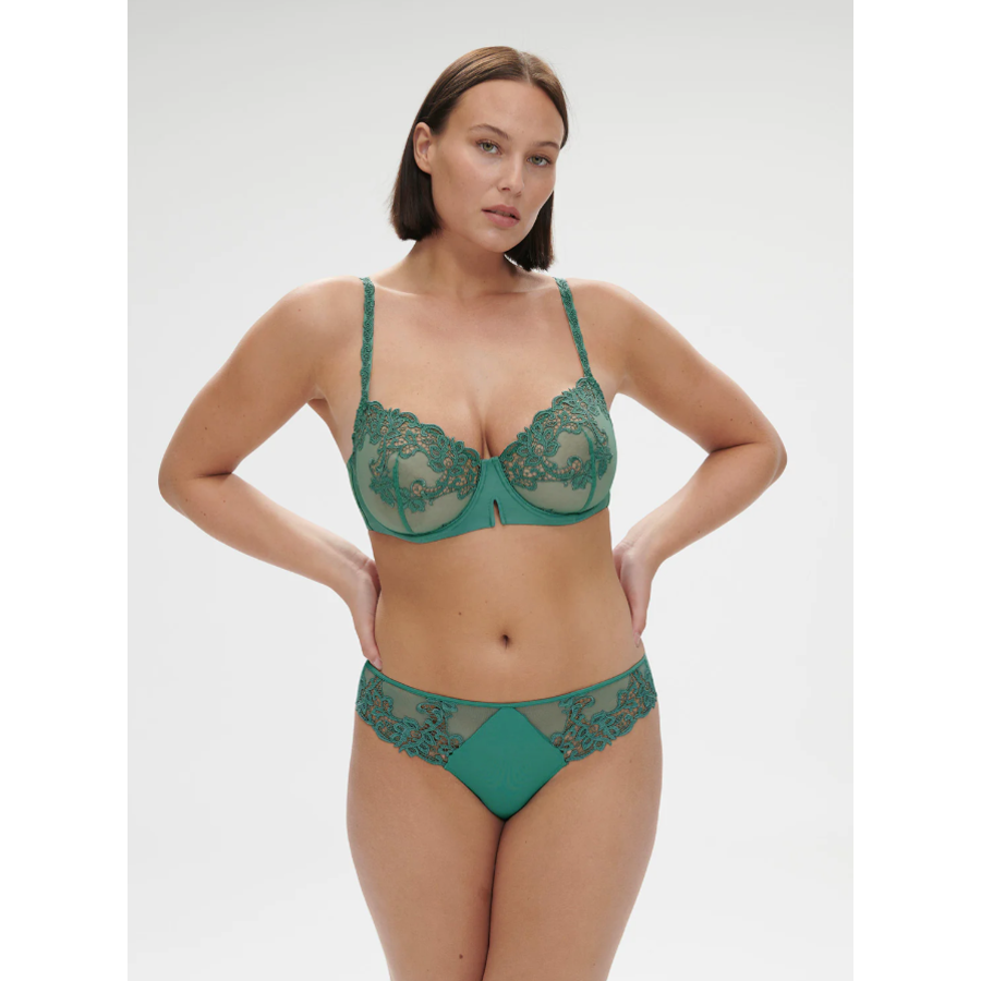 Saga Brief