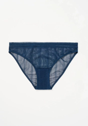 Izzy Brief 