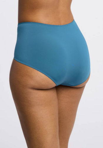 Flirt Lace Smoothing Brief 