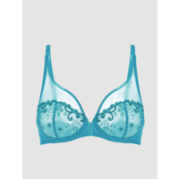 Delice Sheer Plunge Bra