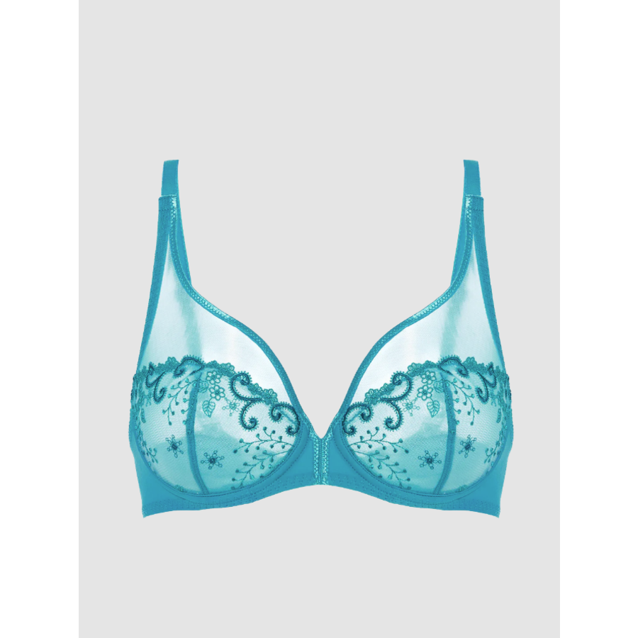 Delice Sheer Plunge Bra