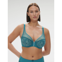 Delice Sheer Plunge Bra