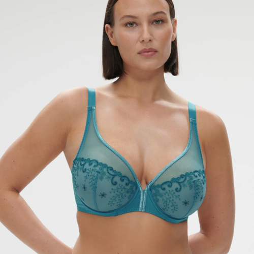 Delice Sheer Plunge Bra 