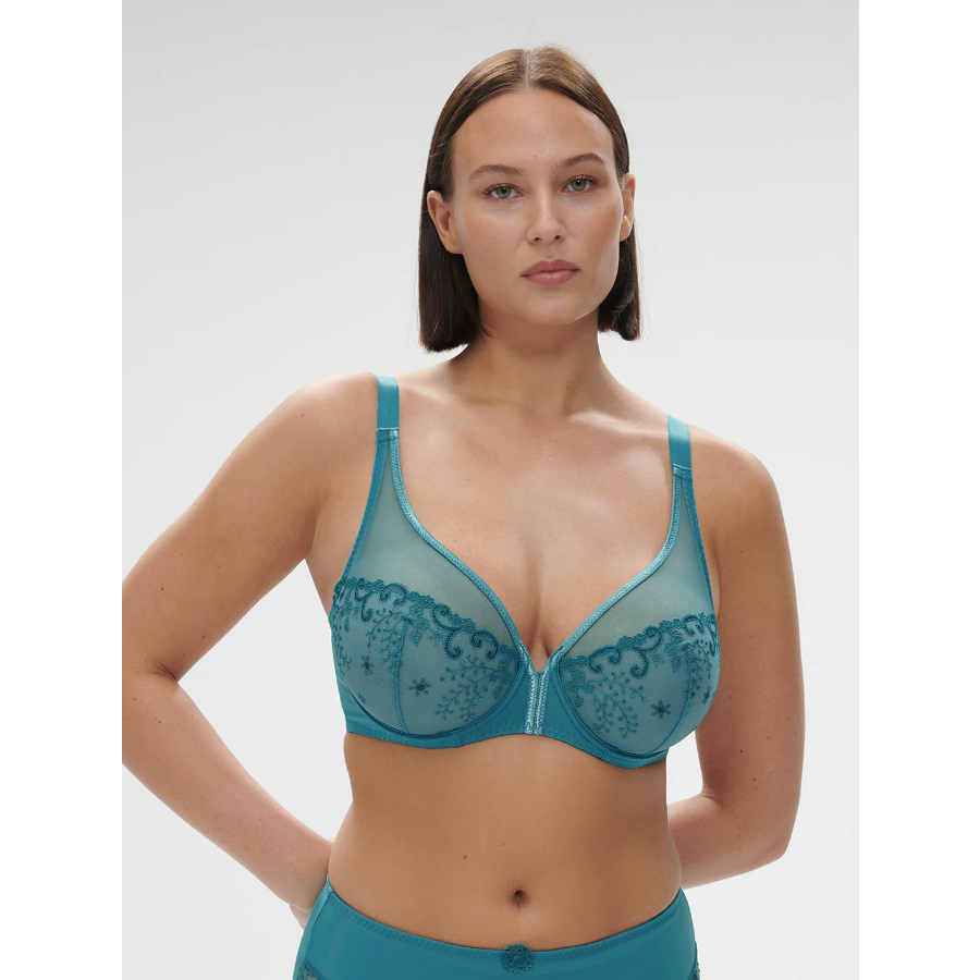 Delice Sheer Plunge Bra