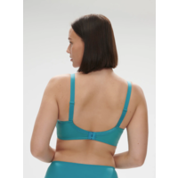 Delice Sheer Plunge Bra